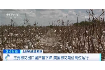 央視調(diào)查：棉花大漲！服裝訂單量下滑，外貿(mào)企業(yè)面臨“三座大山”