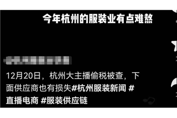 爆料！帶貨一姐薇婭涼了，紡服市場連鎖反應(yīng)，中小企業(yè)處境或?qū)⒏永щy
